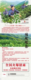 绿茶展架