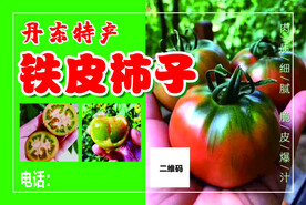 铁皮柿子