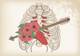 骨头插画