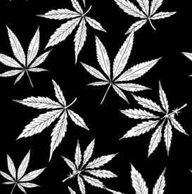 大牌  男装 数码印花  树叶