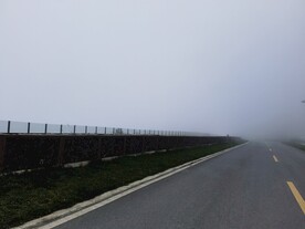 沥青路