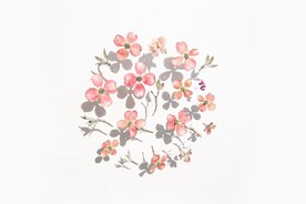 清新淡雅花