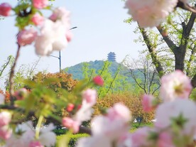 春天的公园