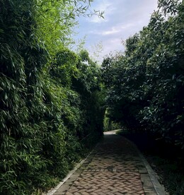 竹林小路