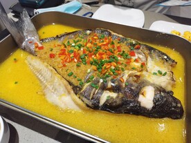 鮰鱼