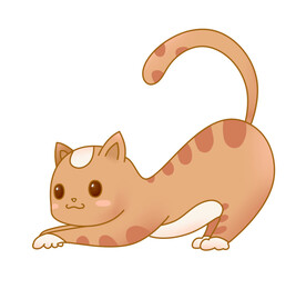 手绘猫