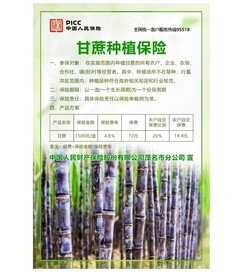 甘蔗种植保险