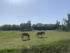 动物园