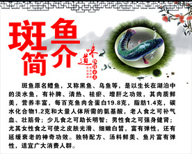 斑鱼简介