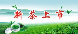 新茶上市
