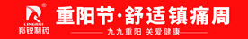 2023年重阳节主题条幅