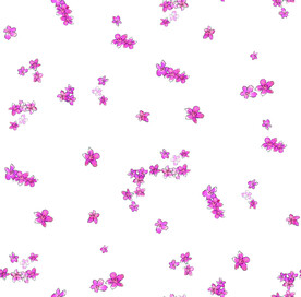 小花设计