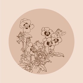 手绘线描花卉