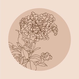 手绘线描花卉