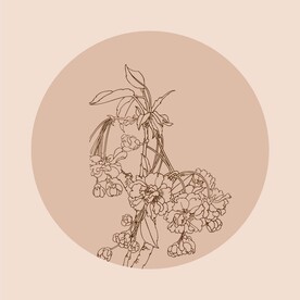 手绘线描花卉