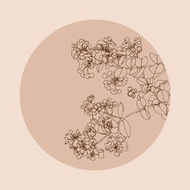 手绘线描花卉