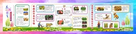学校种植基地