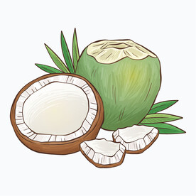 卡通椰子