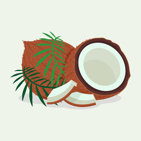 卡通椰子 