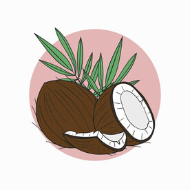 卡通椰子 