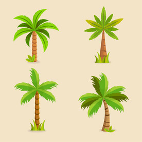 棕榈树