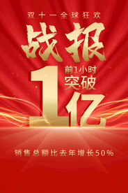 双11战报