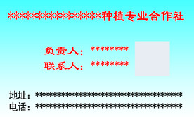 名片 正