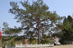 西游记公园实景图