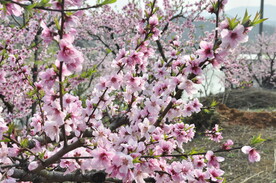 西游记公园实景