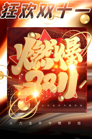 双十一狂欢节