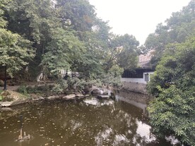 公园 人工湖