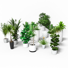 C4D模型 绿色盆栽