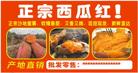 红薯