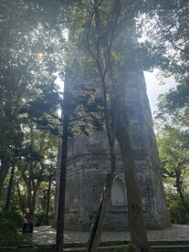 公园 绿植 树林 草丛 塔