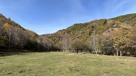 老掌沟风景照