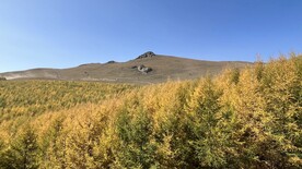 老掌沟风景照