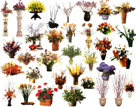 植物免抠图