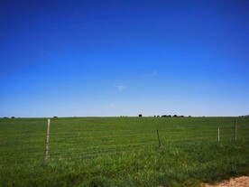 内蒙 蓝天 绿地 草原