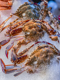 海鲜螃蟹海蟹梭子蟹