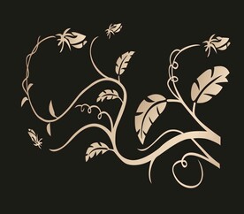 花边花纹底纹 