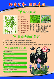 珍爱生命远离毒品