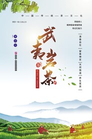 武夷岩茶