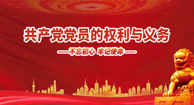 党员的权利展板
