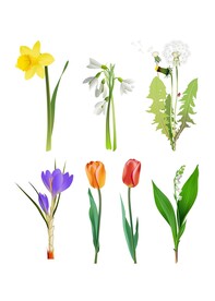 花