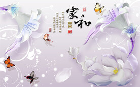 家和