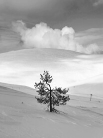 雪地