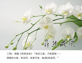 蔚然成风画框