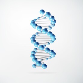 DNA分子