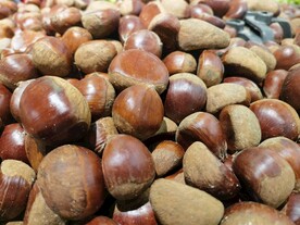 板栗