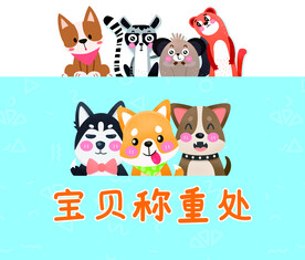 动物
